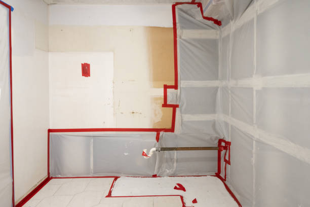 Best Mold-Related Health Consultation  in Seneca, SC